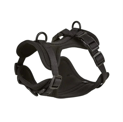 https://cdn.shopify.com/s/files/1/0647/9170/7830/files/harnais-chien-biothane-5522643.webp?v=1777923136