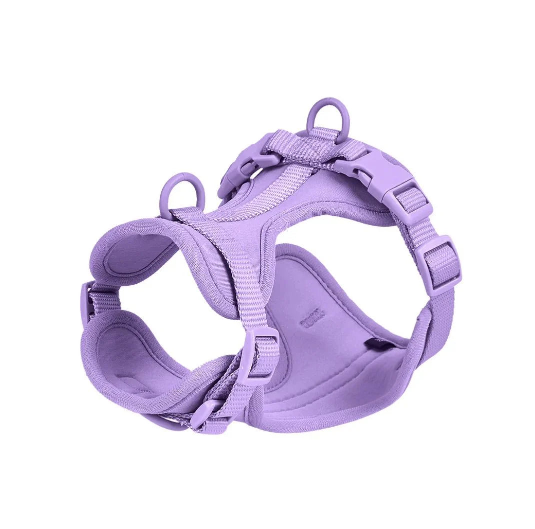 https://cdn.shopify.com/s/files/1/0647/9170/7830/files/harnais-chien-biothane-8261977.webp?v=1777923135