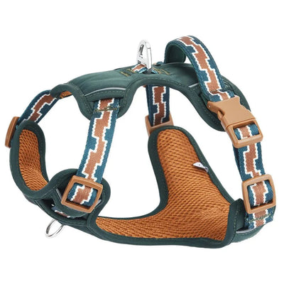 https://cdn.shopify.com/s/files/1/0647/9170/7830/files/harnais-chien-bouledogue-francais-1571407.webp?v=1777923435