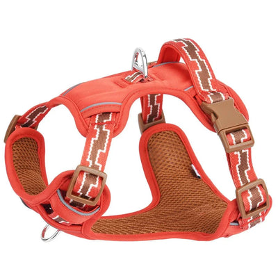 https://cdn.shopify.com/s/files/1/0647/9170/7830/files/harnais-chien-bouledogue-francais-8062341.webp?v=1777923435