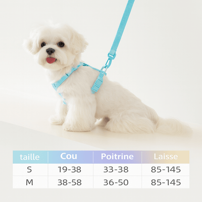 https://cdn.shopify.com/s/files/1/0647/9170/7830/files/harnais-chien-chiot-3459833.png?v=1777923972