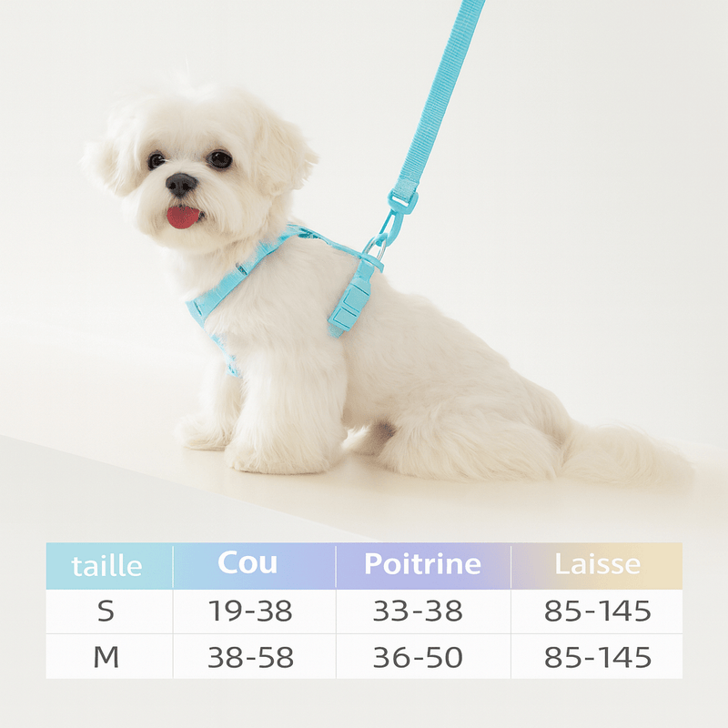 https://cdn.shopify.com/s/files/1/0647/9170/7830/files/harnais-chien-chiot-8520230.webp?v=1777923971