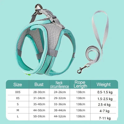 https://cdn.shopify.com/s/files/1/0647/9170/7830/files/harnais-chien-curli-1833227.webp?v=1777923316