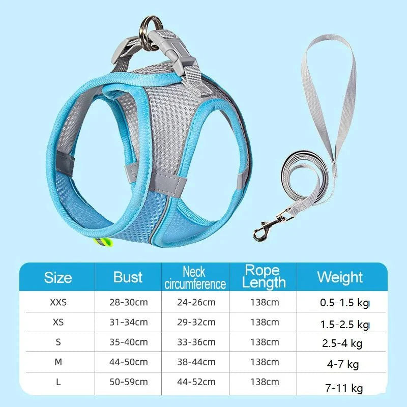 https://cdn.shopify.com/s/files/1/0647/9170/7830/files/harnais-chien-curli-2411926.webp?v=1777923317