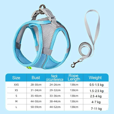 https://cdn.shopify.com/s/files/1/0647/9170/7830/files/harnais-chien-curli-2411926.webp?v=1777923317