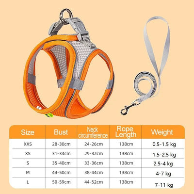 https://cdn.shopify.com/s/files/1/0647/9170/7830/files/harnais-chien-curli-8461382.webp?v=1777923318