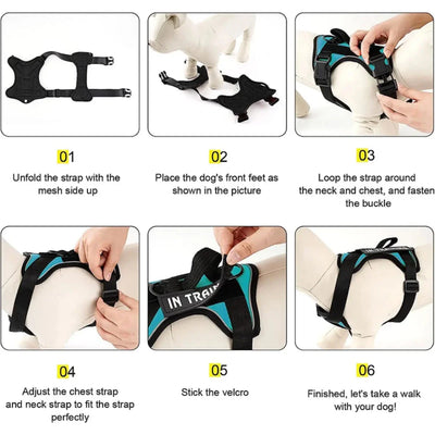 https://cdn.shopify.com/s/files/1/0647/9170/7830/files/harnais-chien-d-assistance-3549347.webp?v=1777923199