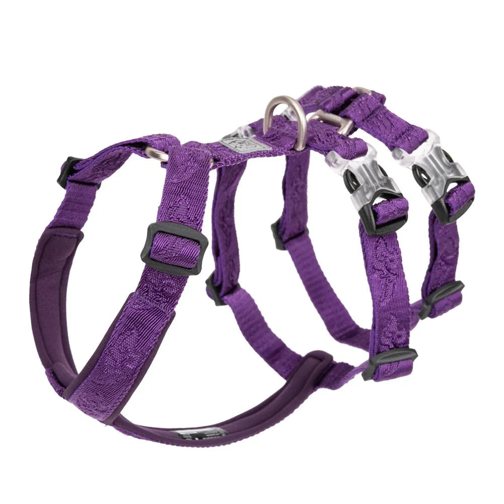https://cdn.shopify.com/s/files/1/0647/9170/7830/files/harnais-chien-de-traineau-5105810.webp?v=1777923914