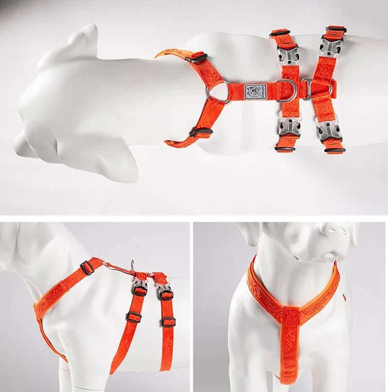 https://cdn.shopify.com/s/files/1/0647/9170/7830/files/harnais-chien-de-traineau-5105810.webp?v=1777923914