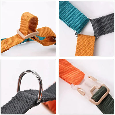 https://cdn.shopify.com/s/files/1/0647/9170/7830/files/harnais-chien-en-h-5964514.webp?v=1777923194