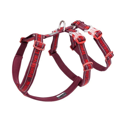 https://cdn.shopify.com/s/files/1/0647/9170/7830/files/harnais-chien-en-t-2276388.webp?v=1777923194