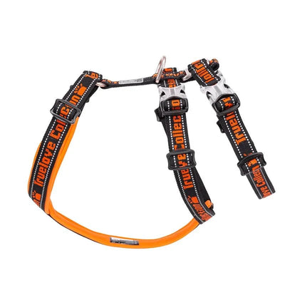 https://cdn.shopify.com/s/files/1/0647/9170/7830/files/harnais-chien-en-t-2336862.webp?v=1777923193