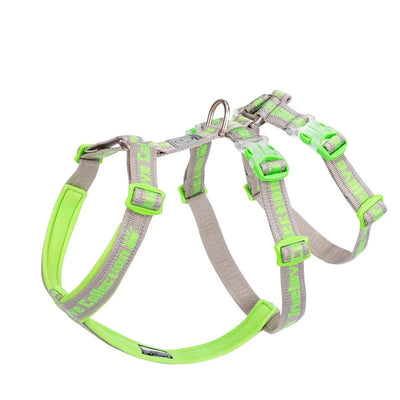 https://cdn.shopify.com/s/files/1/0647/9170/7830/files/harnais-chien-en-t-4122848.webp?v=1777923193