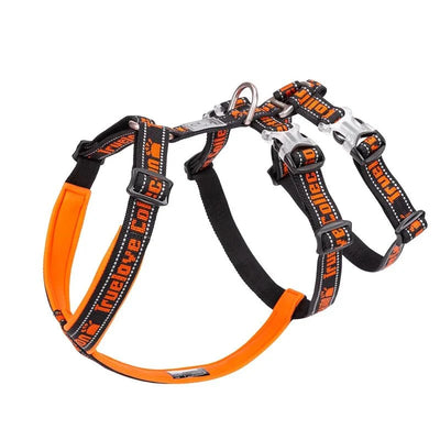 https://cdn.shopify.com/s/files/1/0647/9170/7830/files/harnais-chien-en-t-4658428.webp?v=1777923193