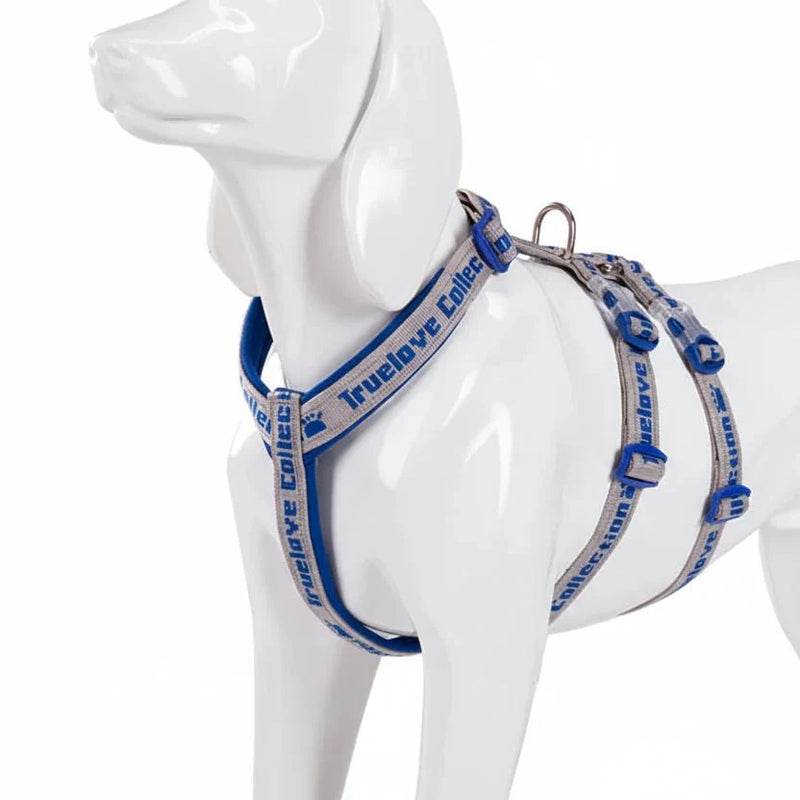 https://cdn.shopify.com/s/files/1/0647/9170/7830/files/harnais-chien-en-t-7658914.webp?v=1777923192