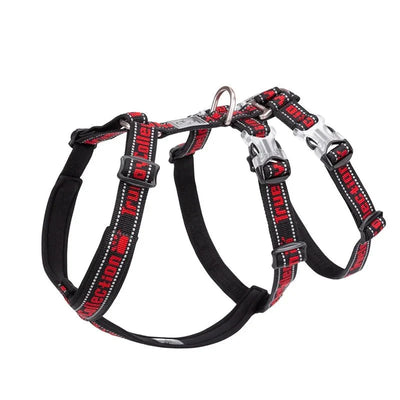 https://cdn.shopify.com/s/files/1/0647/9170/7830/files/harnais-chien-en-t-6621874.webp?v=1777923192
