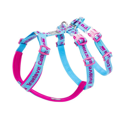 https://cdn.shopify.com/s/files/1/0647/9170/7830/files/harnais-chien-en-t-8308623.webp?v=1777923192