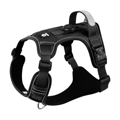https://cdn.shopify.com/s/files/1/0647/9170/7830/files/harnais-chien-malinois-1842874.webp?v=1777924090