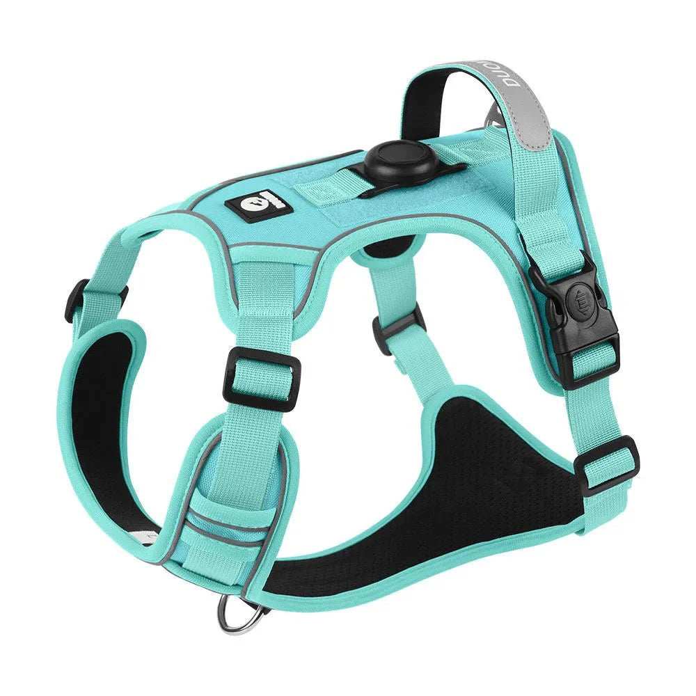 https://cdn.shopify.com/s/files/1/0647/9170/7830/files/harnais-chien-malinois-6394713.webp?v=1777924089