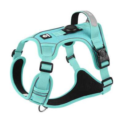 https://cdn.shopify.com/s/files/1/0647/9170/7830/files/harnais-chien-malinois-6394713.webp?v=1777924089