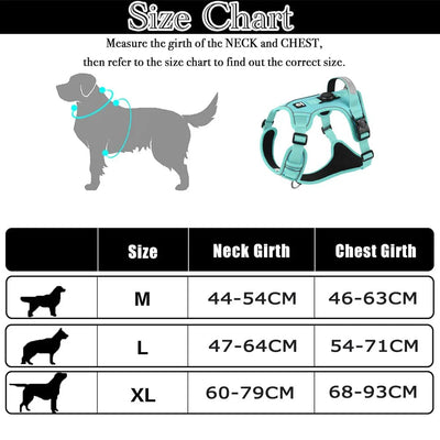https://cdn.shopify.com/s/files/1/0647/9170/7830/files/harnais-chien-malinois-6561687.webp?v=1777924090