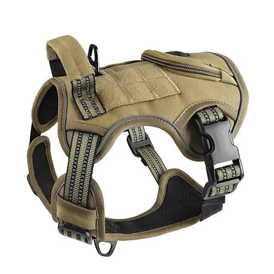 https://cdn.shopify.com/s/files/1/0647/9170/7830/files/harnais-chien-militaire-2947230.webp?v=1777924809