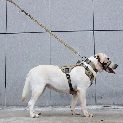 https://cdn.shopify.com/s/files/1/0647/9170/7830/files/harnais-chien-militaire-3649692.webp?v=1777924808