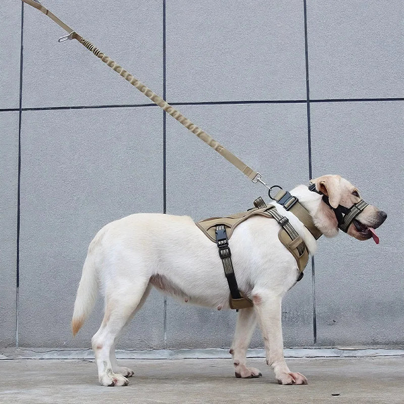 https://cdn.shopify.com/s/files/1/0647/9170/7830/files/harnais-chien-militaire-2947230.webp?v=1777924809