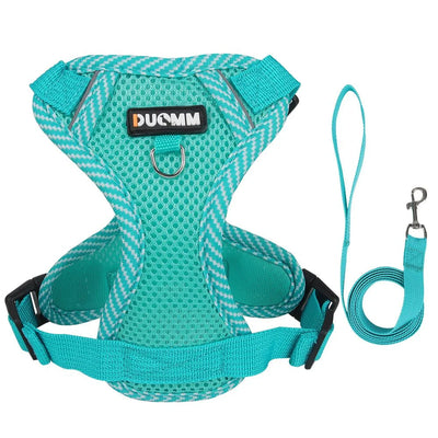 https://cdn.shopify.com/s/files/1/0647/9170/7830/files/harnais-chien-petite-taille-2222849.webp?v=1777923789