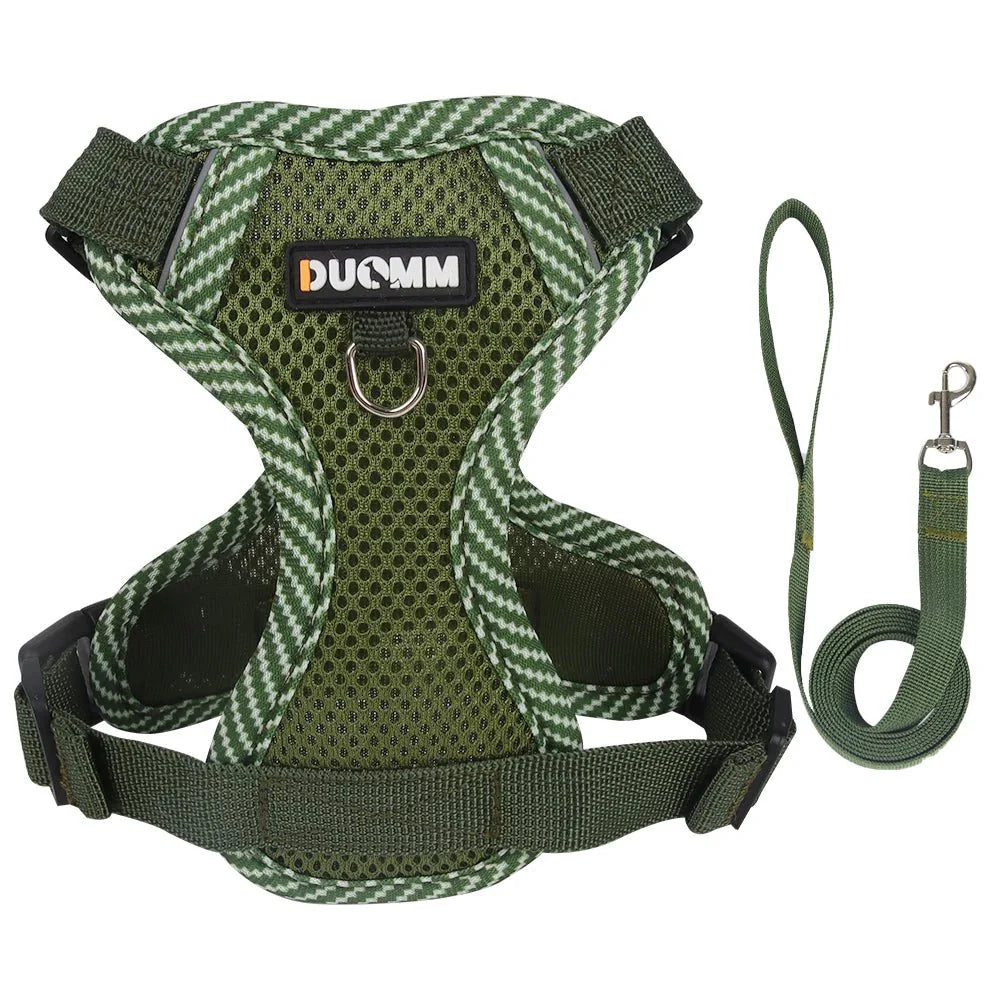 https://cdn.shopify.com/s/files/1/0647/9170/7830/files/harnais-chien-petite-taille-9493976.webp?v=1777923788