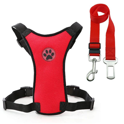 https://cdn.shopify.com/s/files/1/0647/9170/7830/files/harnais-chien-pour-voiture-3839258.webp?v=1777925231