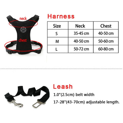 https://cdn.shopify.com/s/files/1/0647/9170/7830/files/harnais-chien-pour-voiture-6359007.webp?v=1777925232