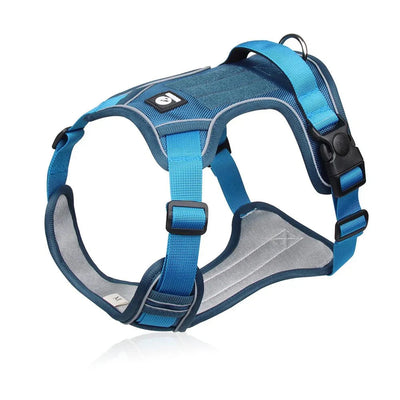 https://cdn.shopify.com/s/files/1/0647/9170/7830/files/harnais-chien-rembourre-en-y-3836495.webp?v=1777924690