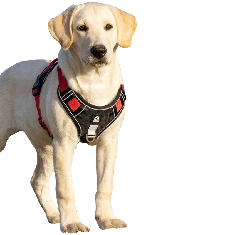 https://cdn.shopify.com/s/files/1/0647/9170/7830/files/harnais-chien-rembourre-en-y-6368111.webp?v=1777924690