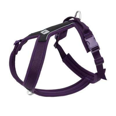 https://boutiquechien.fr/cdn/shop/files/harnais-chien-xl-7525552.webp?v=1777923619&width=1200