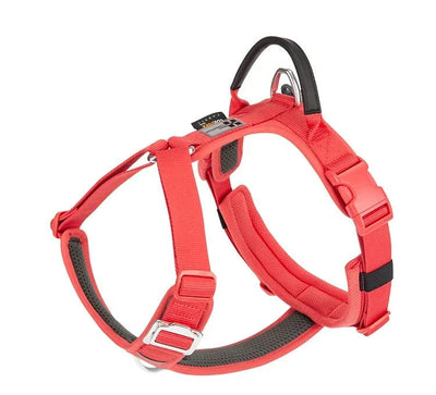 https://cdn.shopify.com/s/files/1/0647/9170/7830/files/harnais-chien-xs-2407892.webp?v=1777923201