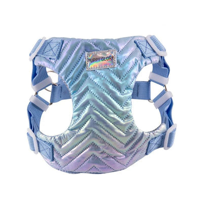 https://cdn.shopify.com/s/files/1/0647/9170/7830/files/harnais-chiot-4-mois-1292878.webp?v=1777923555