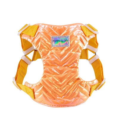 https://cdn.shopify.com/s/files/1/0647/9170/7830/files/harnais-chiot-4-mois-6693175.webp?v=1777923556