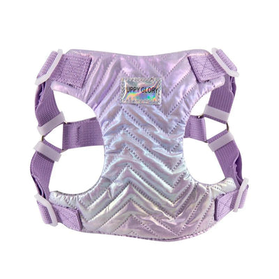 https://cdn.shopify.com/s/files/1/0647/9170/7830/files/harnais-chiot-4-mois-8173415.webp?v=1777923556