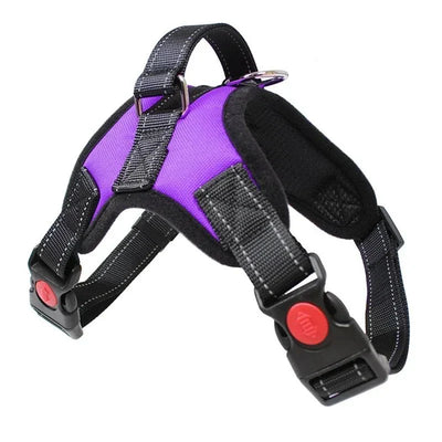 https://cdn.shopify.com/s/files/1/0647/9170/7830/files/harnais-chiot-9987435.webp?v=1777923794