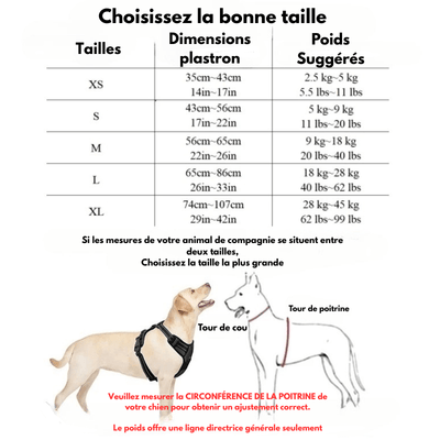 https://cdn.shopify.com/s/files/1/0647/9170/7830/files/harnais-chiot-beagle-5025110.png?v=1777923857