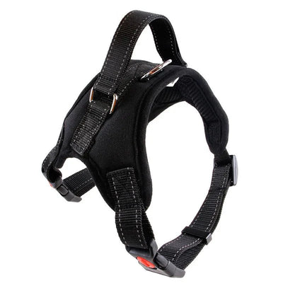 https://cdn.shopify.com/s/files/1/0647/9170/7830/files/harnais-chiot-beagle-6325329.webp?v=1777923857