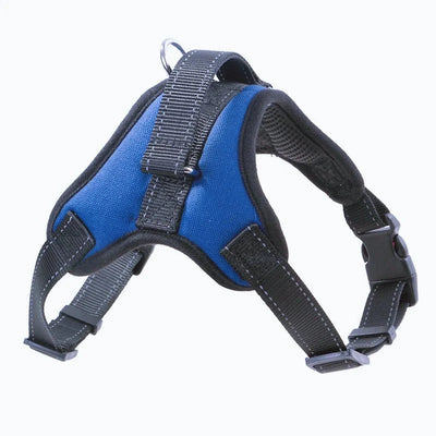 https://cdn.shopify.com/s/files/1/0647/9170/7830/files/harnais-chiot-beagle-7335433.webp?v=1777923856
