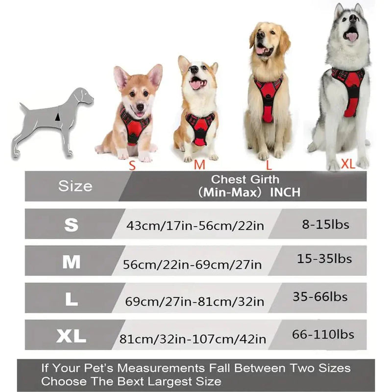 https://cdn.shopify.com/s/files/1/0647/9170/7830/files/harnais-chiot-boxer-7903724.webp?v=1777923256