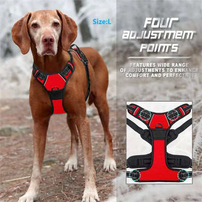 https://cdn.shopify.com/s/files/1/0647/9170/7830/files/harnais-chiot-boxer-9958698.webp?v=1777923256