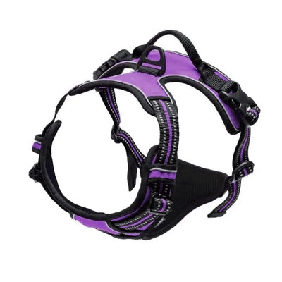 https://cdn.shopify.com/s/files/1/0647/9170/7830/files/harnais-chiot-cocker-7889865.webp?v=1777923068