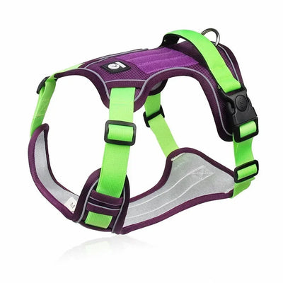 https://cdn.shopify.com/s/files/1/0647/9170/7830/files/harnais-chiot-en-y-6864311.webp?v=1777923609
