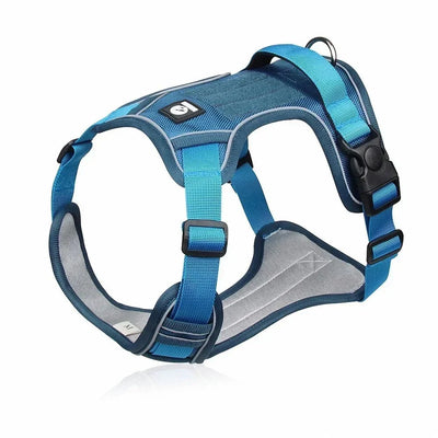 https://cdn.shopify.com/s/files/1/0647/9170/7830/files/harnais-chiot-en-y-8418670.webp?v=1777923610