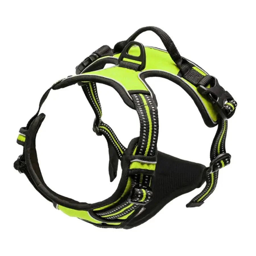 https://cdn.shopify.com/s/files/1/0647/9170/7830/files/harnais-chiot-golden-5510718.webp?v=1777923431