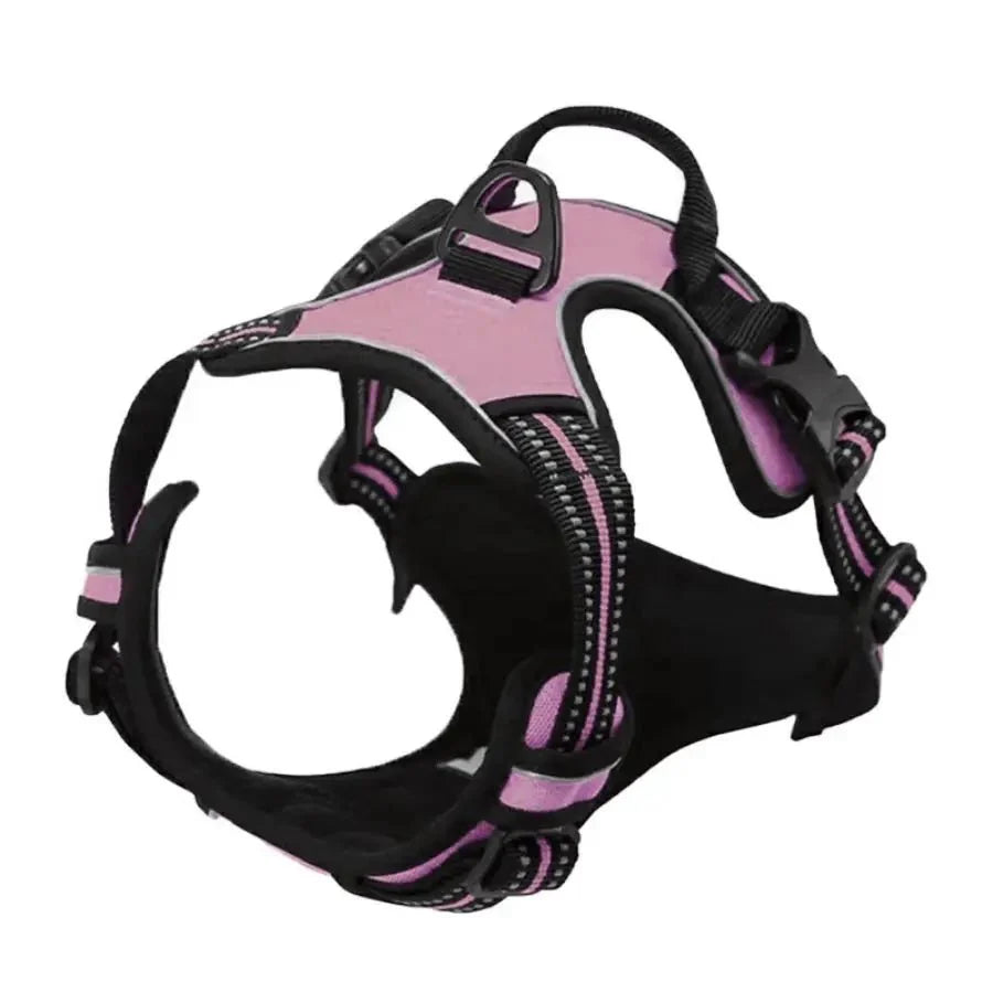 https://cdn.shopify.com/s/files/1/0647/9170/7830/files/harnais-chiot-husky-7660894.webp?v=1777923067